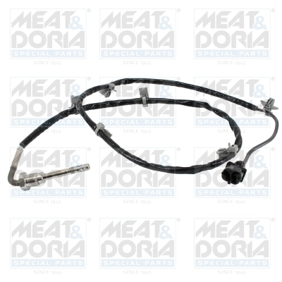 Sensor, exhaust gas temperature
